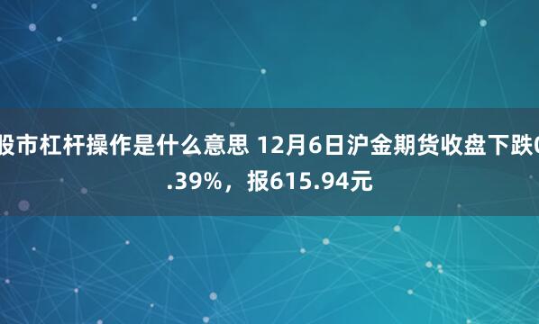 股市杠杆操作是什么意思 12月6日沪金期货收盘下跌0.39%，报615.94元