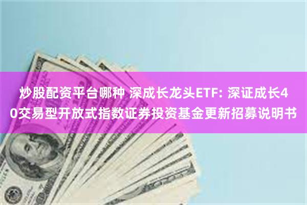 炒股配资平台哪种 深成长龙头ETF: 深证成长40交易型开放式指数证券投资基金更新招募说明书