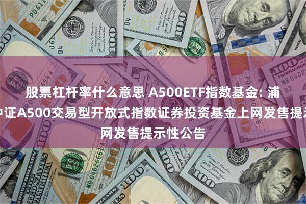 股票杠杆率什么意思 A500ETF指数基金: 浦银安盛中证A500交易型开放式指数证券投资基金上网发售提示性公告