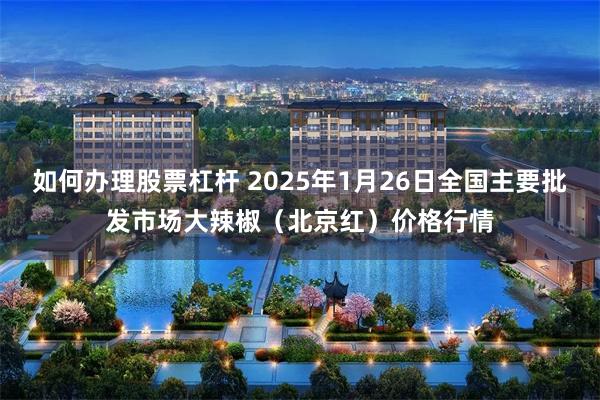 如何办理股票杠杆 2025年1月26日全国主要批发市场大辣椒（北京红）价格行情