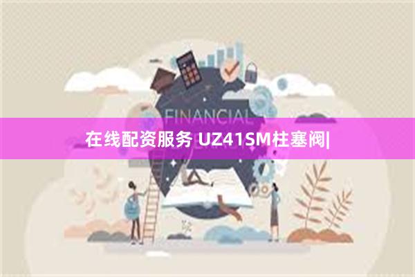 在线配资服务 UZ41SM柱塞阀|