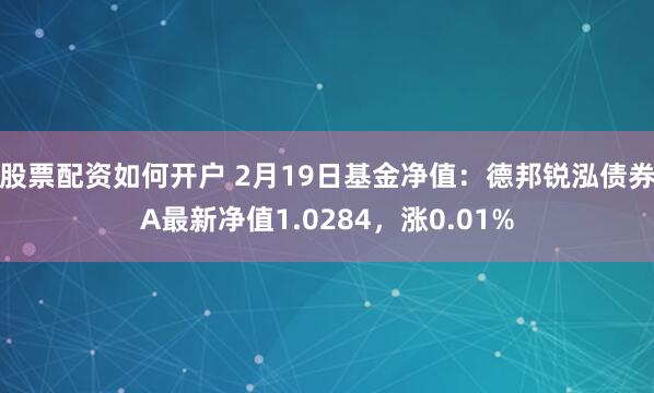 股票配资如何开户 2月19日基金净值：德邦锐泓债券A最新净值1.0284，涨0.01%