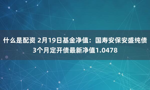 什么是配资 2月19日基金净值：国寿安保安盛纯债3个月定开债最新净值1.0478