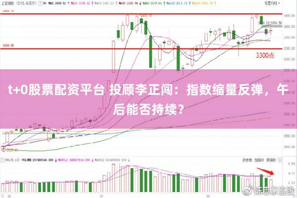 t+0股票配资平台 投顾李正闯：指数缩量反弹，午后能否持续？